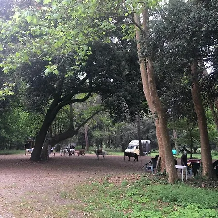 Riva Dei Fiori 公寓 *