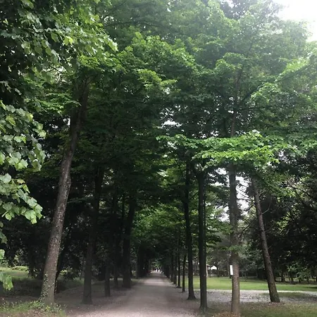 公寓 Riva Dei Fiori 维亚雷焦